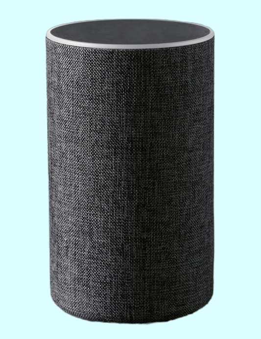 OTT Enceinte Intelligente Gris